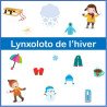Lynxoloto de l'hiver