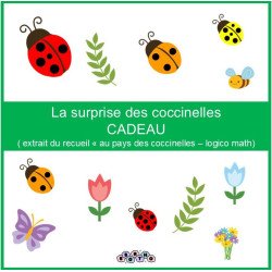 La surprise des coccinelles
