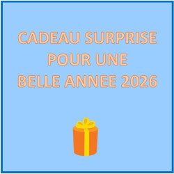 cadeau surprise  - bonne année à tous
