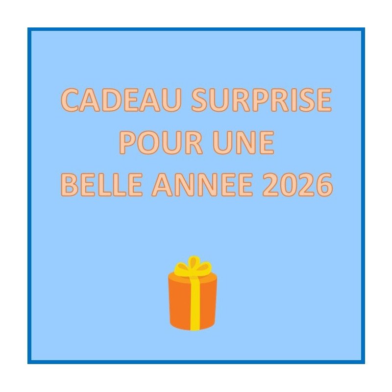 cadeau surprise  - bonne année à tous