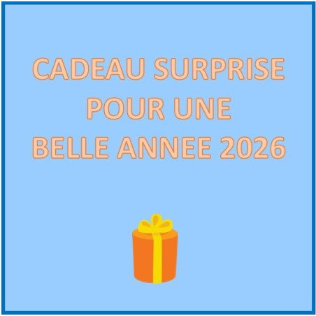 cadeau surprise  - bonne année à tous